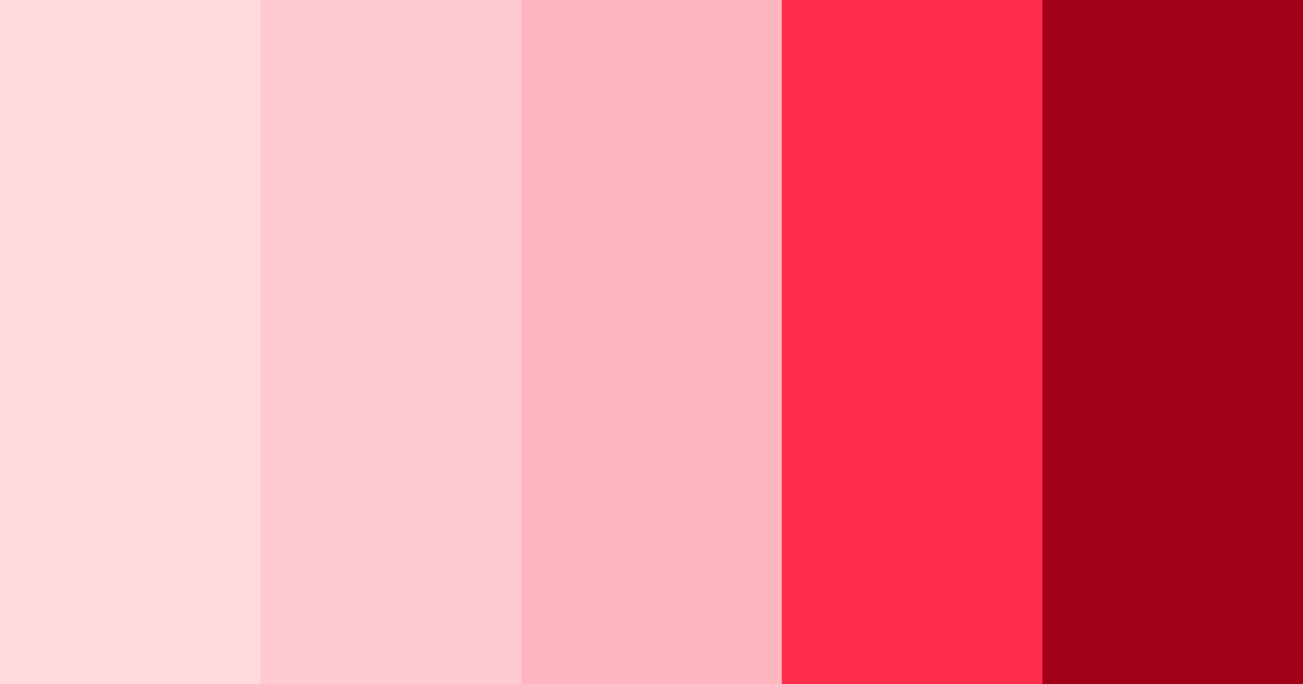 Tabela com cinco tons de claro rosa, do mais claro ao mais escuro