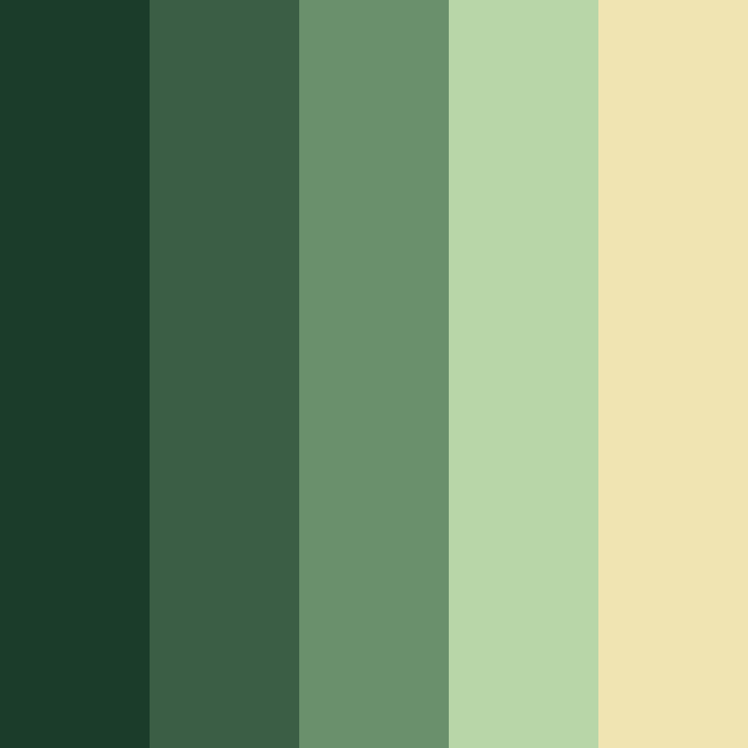 Download dark mysterious forest color palette PNG image (square)
