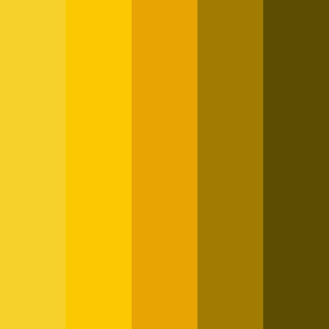 Download sunflower bright color palette PNG image (square)