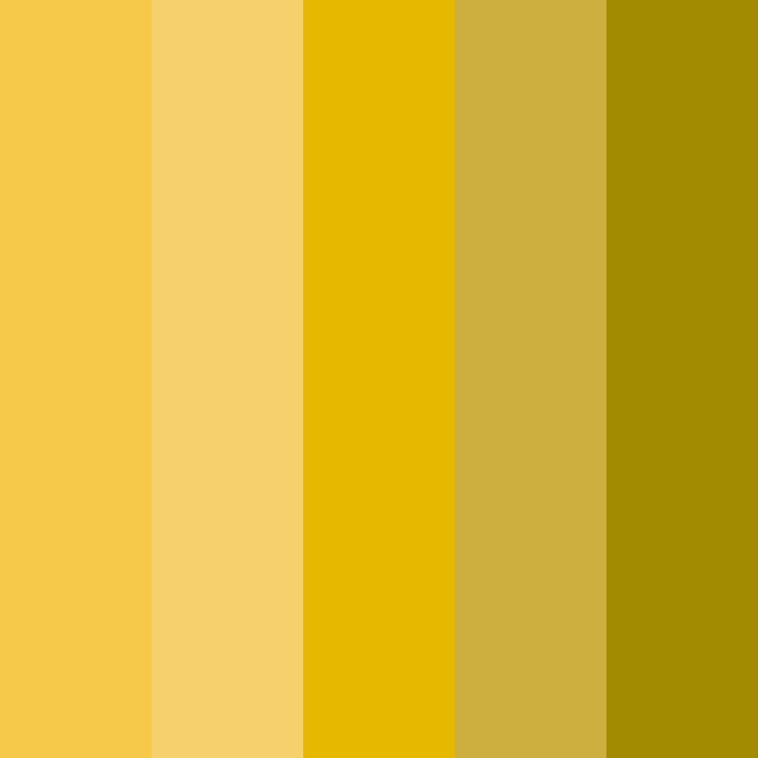 Download sunflower brights color palette PNG image (square)