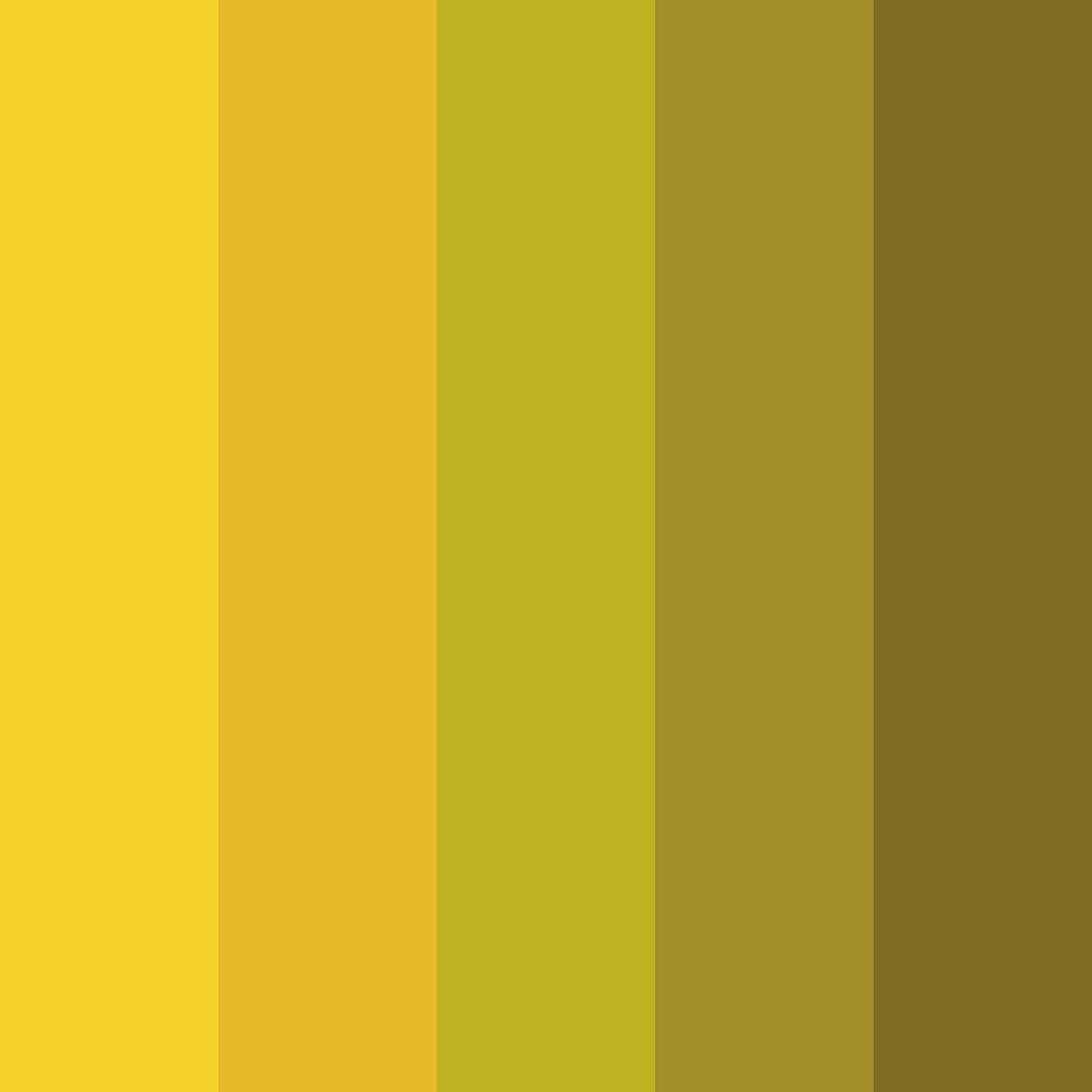 Download sunflower color palette PNG image (square)
