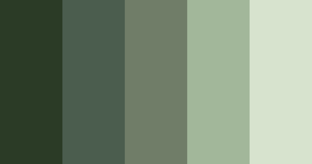 Download conifer color palette PNG image (landscape)