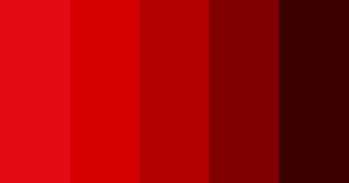 Download netflix color palette PNG image (landscape)