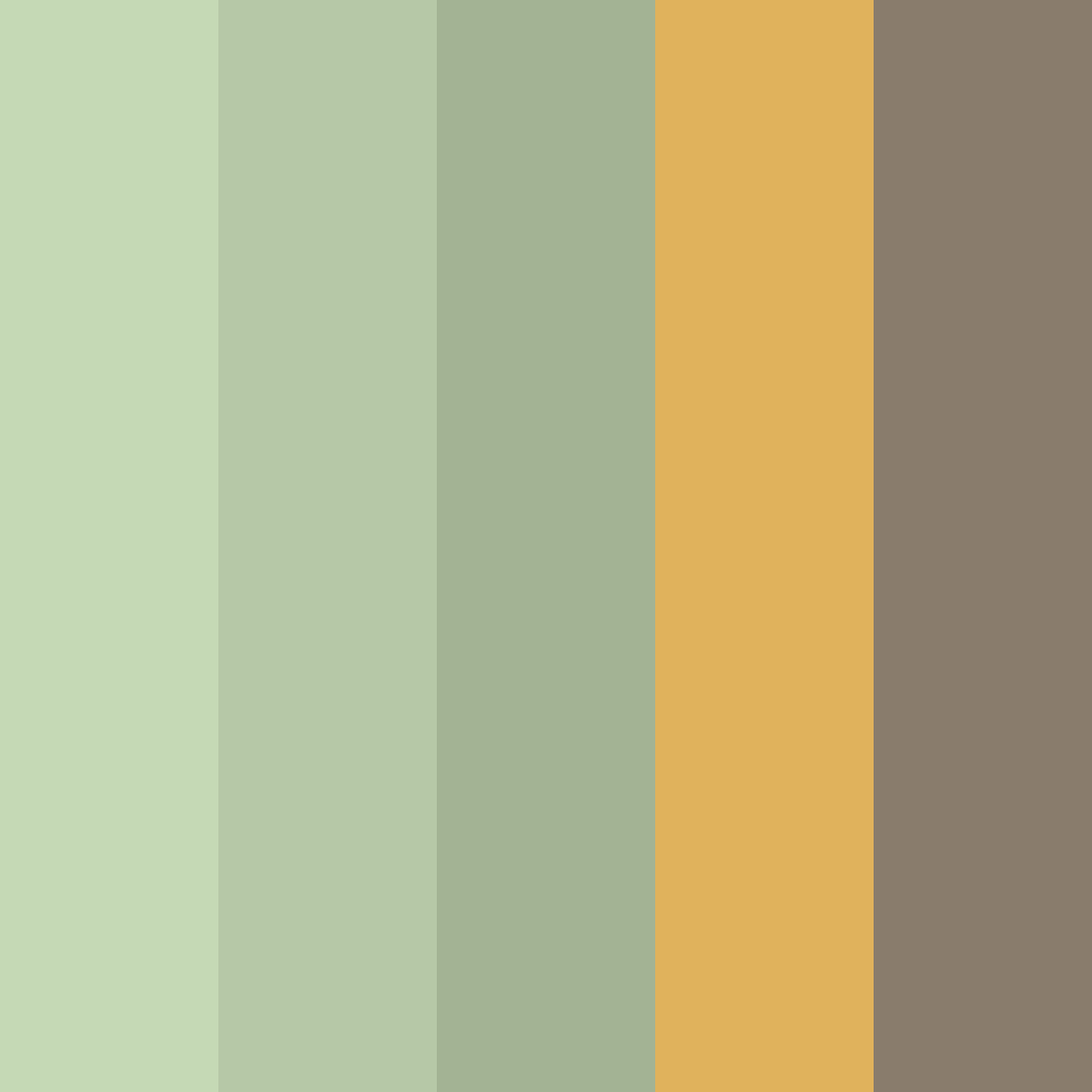 Download old money color palette PNG image (square)
