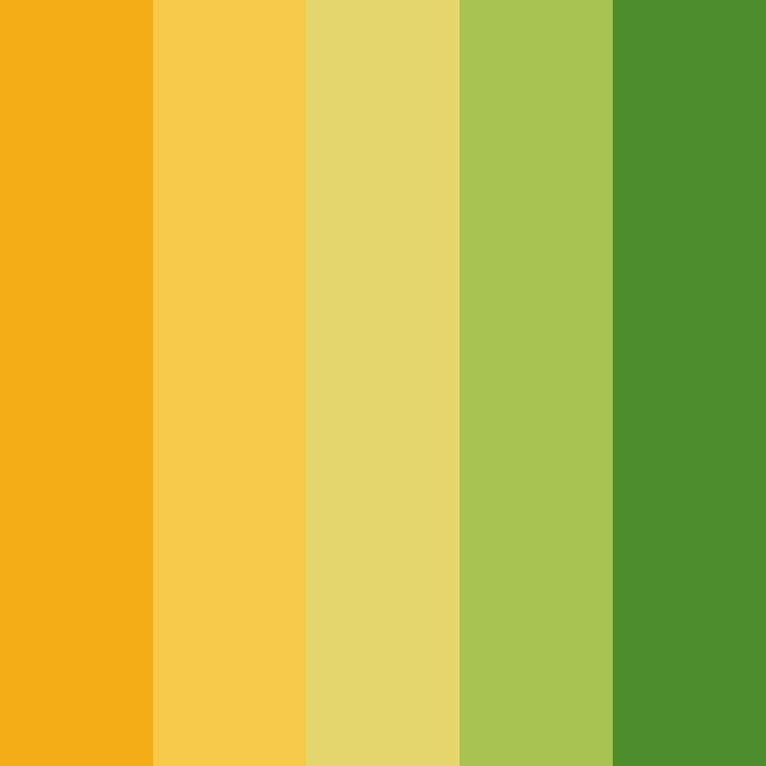 Download buttercup bloom color palette PNG image (square)