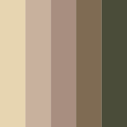 Antique Manuscript in Vintage Color Palettes