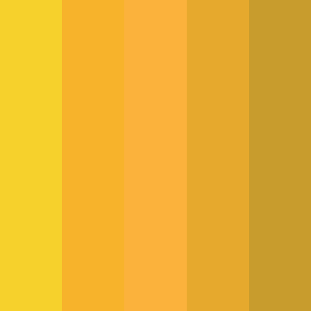 Download sunflower color palette PNG image (square)