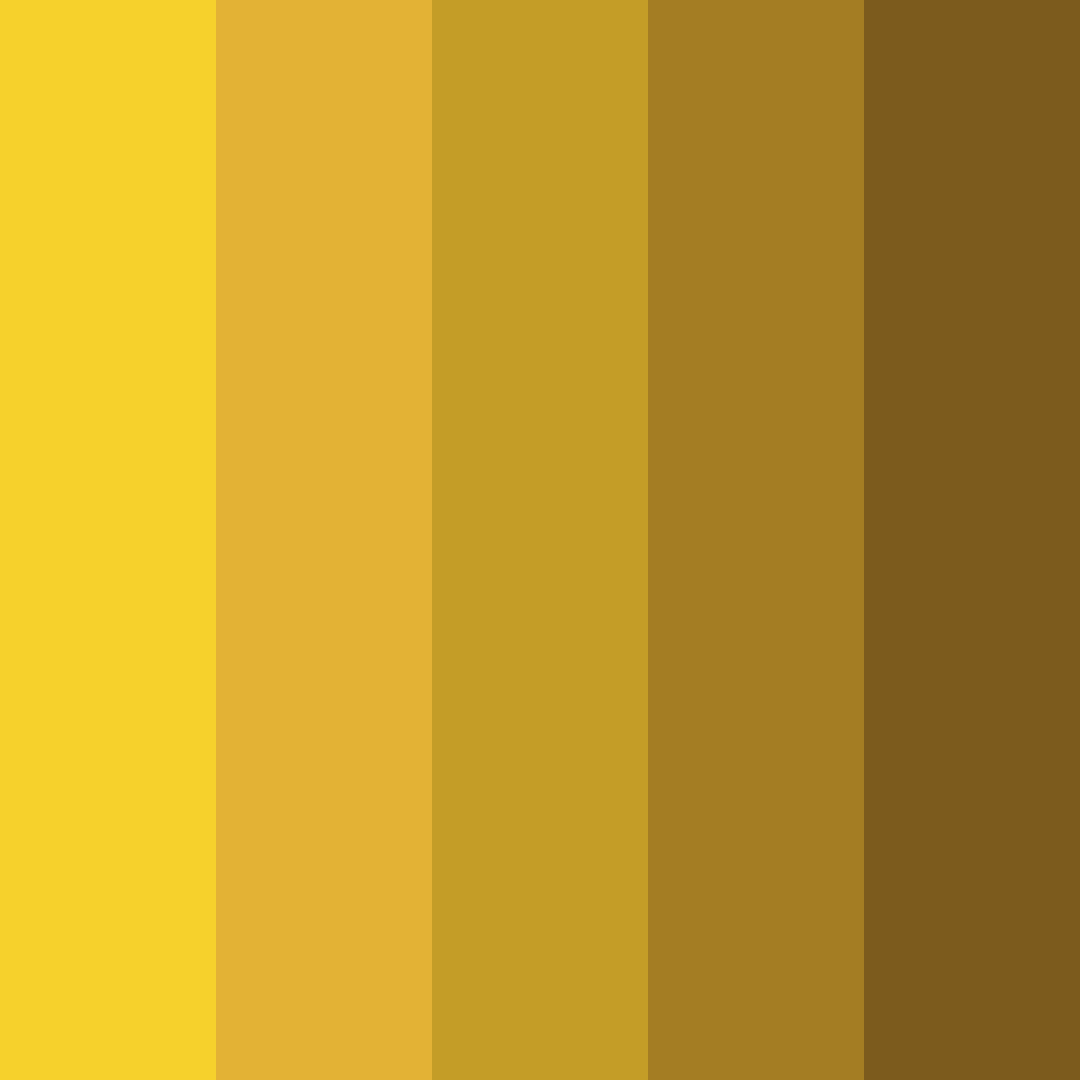 Download sunflower color palette PNG image (square)