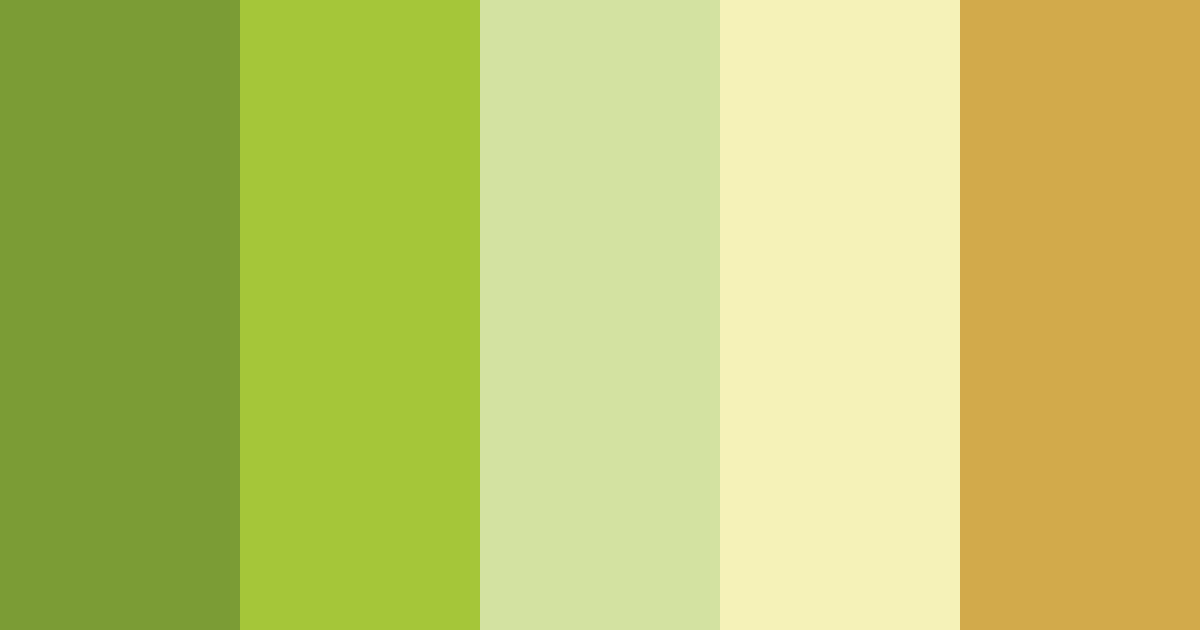 Download wizard color palette PNG image (landscape)