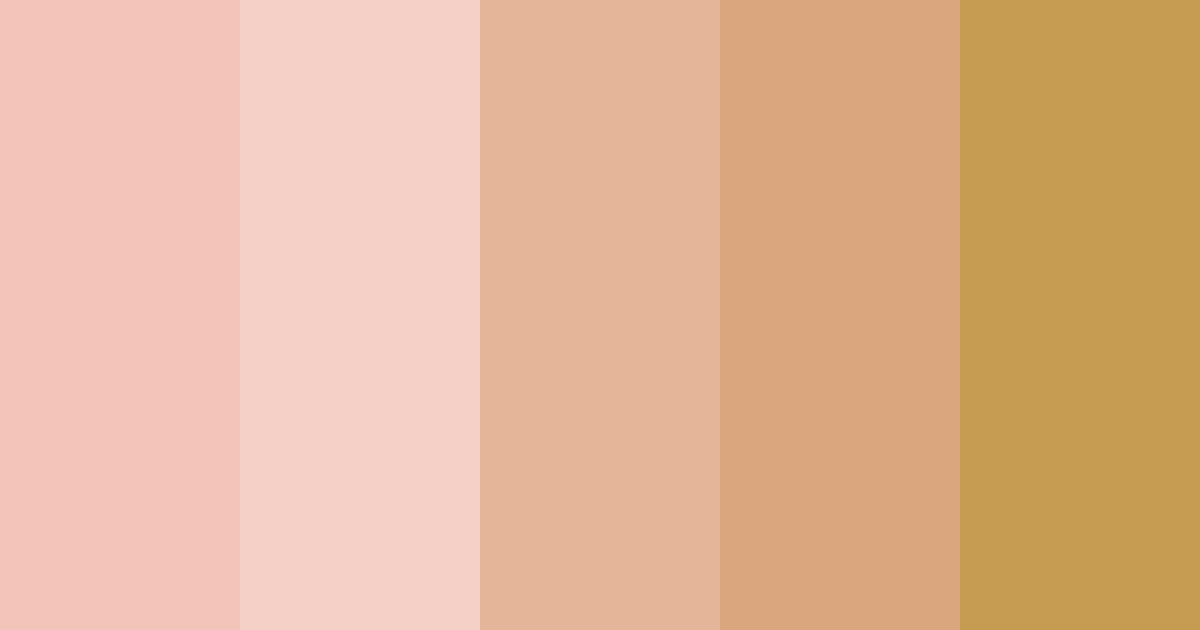 Download warm skin tone color palette PNG image (landscape)