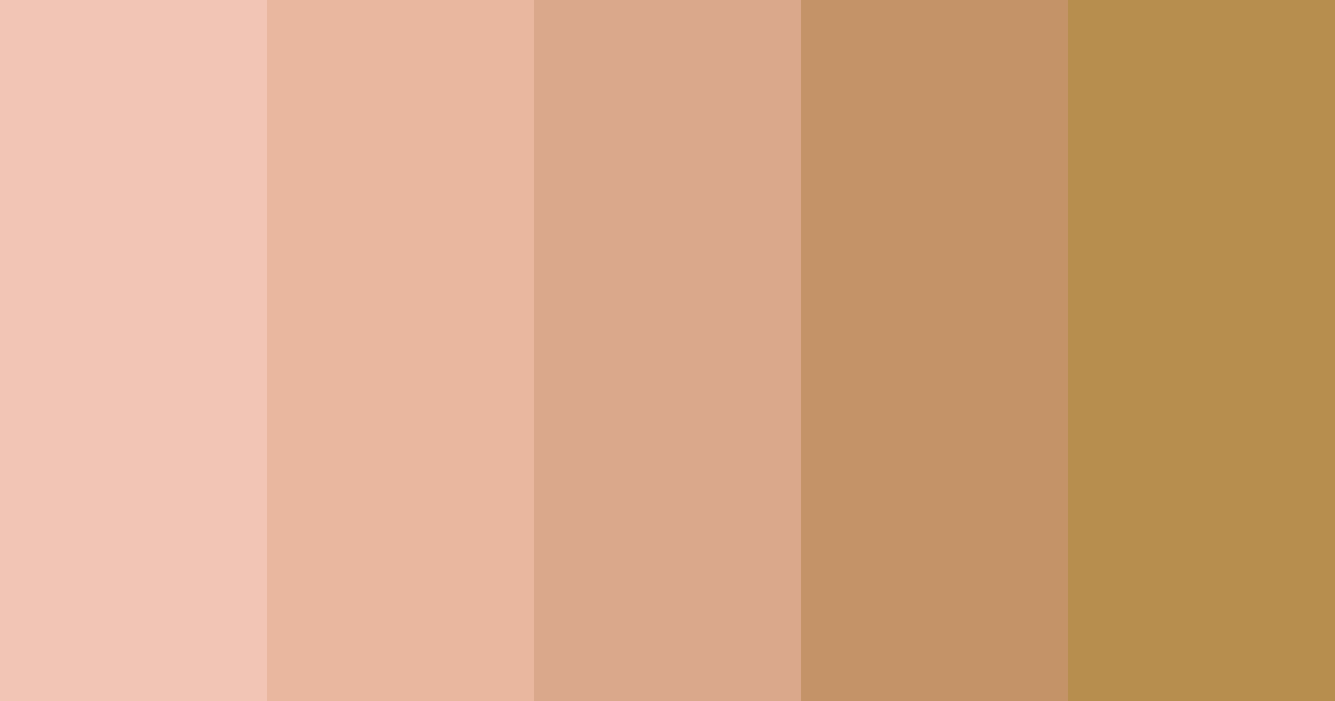 Download sun-kissed skin color palette PNG image (landscape)