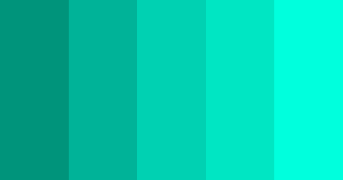 Download rolex color palette PNG image (landscape)