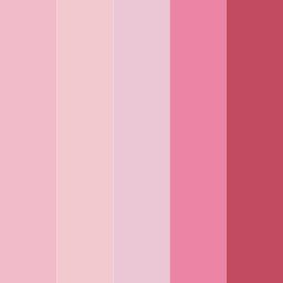 Coquette Charm in Pink Color Palettes