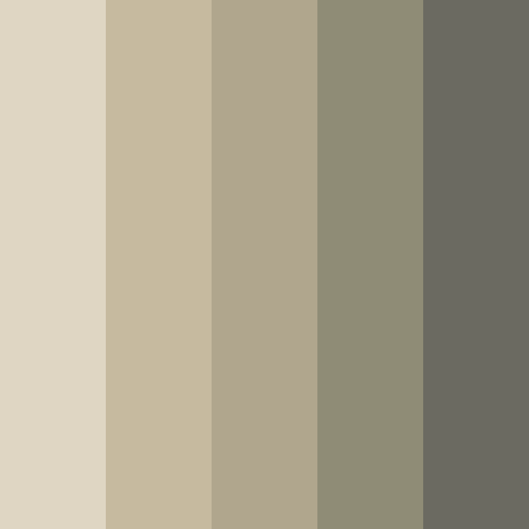 Download japandi serenity color palette PNG image (square)