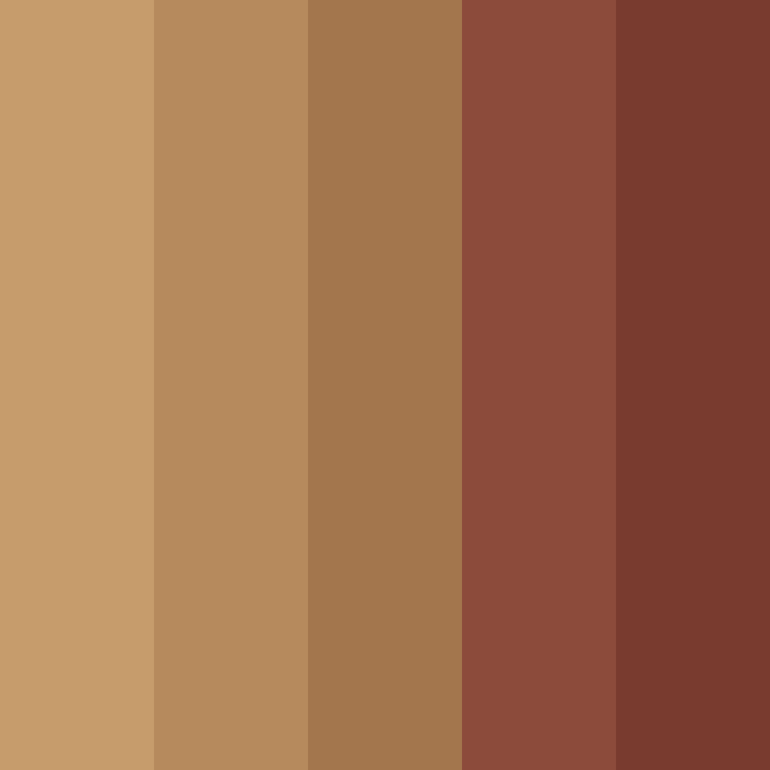 Download 70s earthtones color palette PNG image (square)
