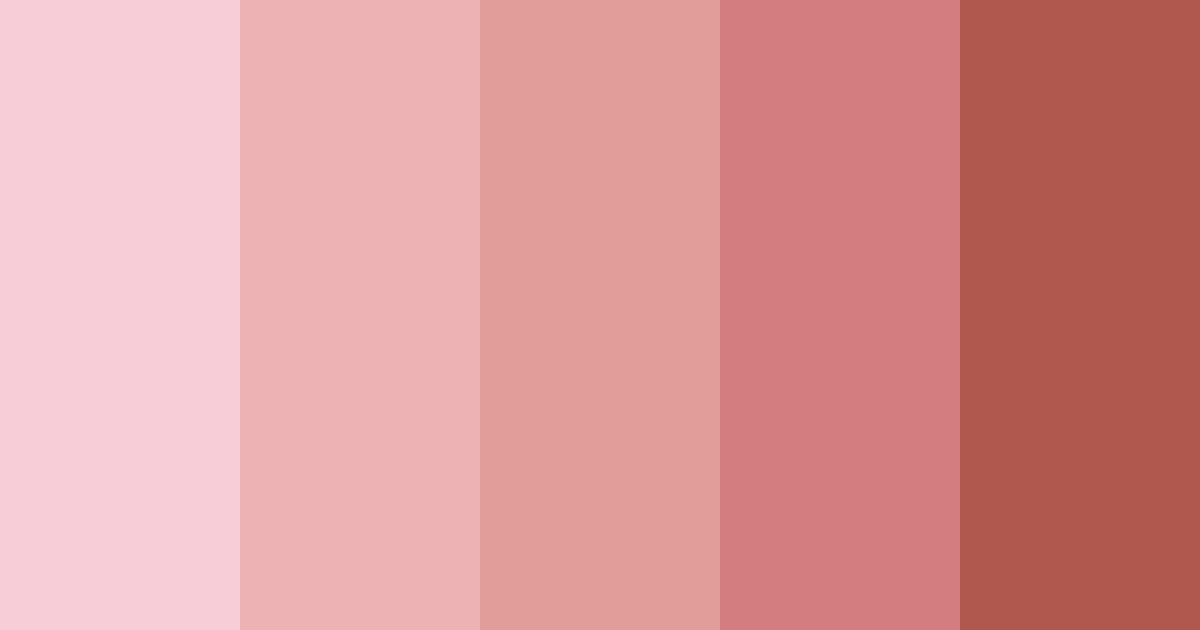 Ballet Rosados y Café Color Palette
