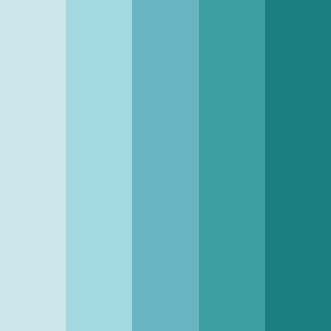 Download anemo color palette PNG image (square)
