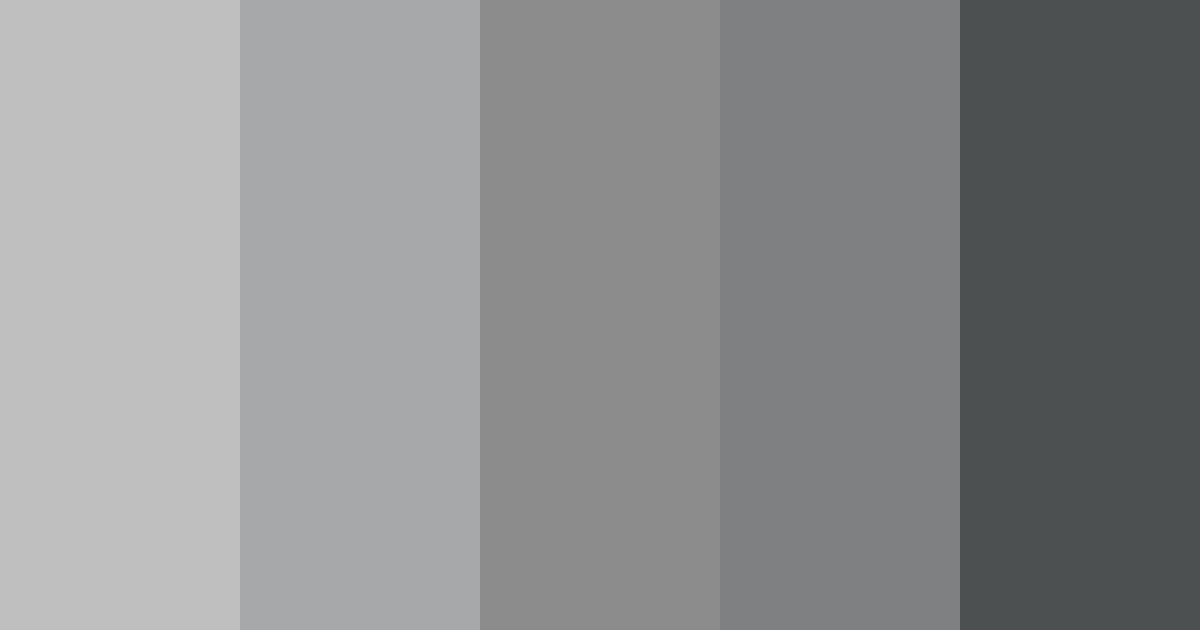 Silver Variations Color Silver Elegance Color Palette