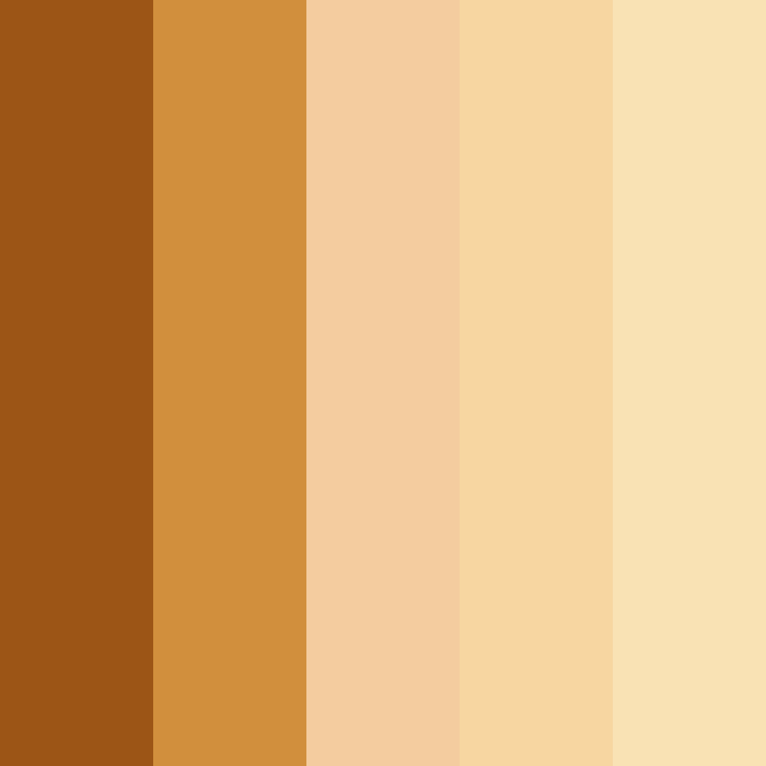 Download hawaiian sunset color palette PNG image (square)