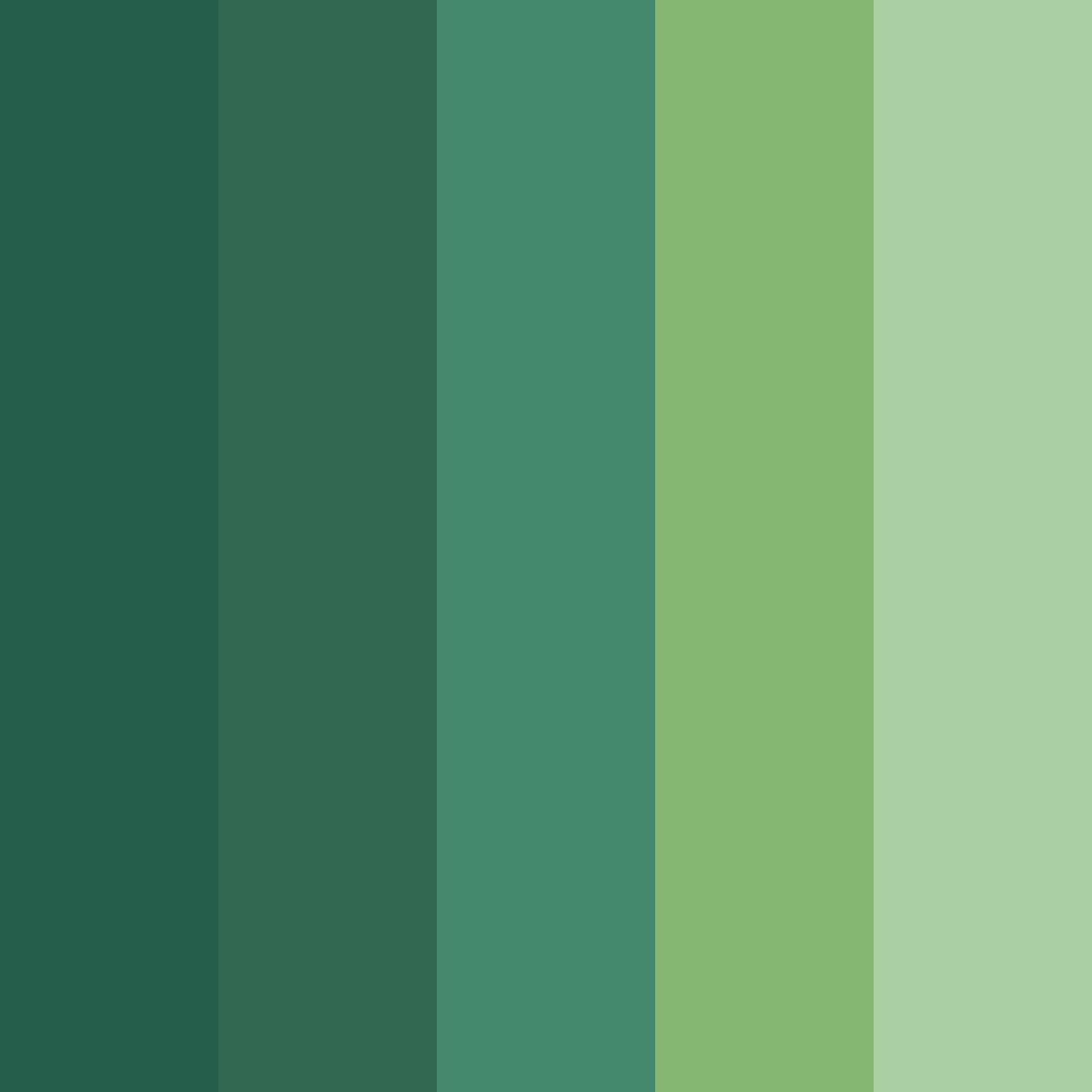 Download evergreen color palette PNG image (square)