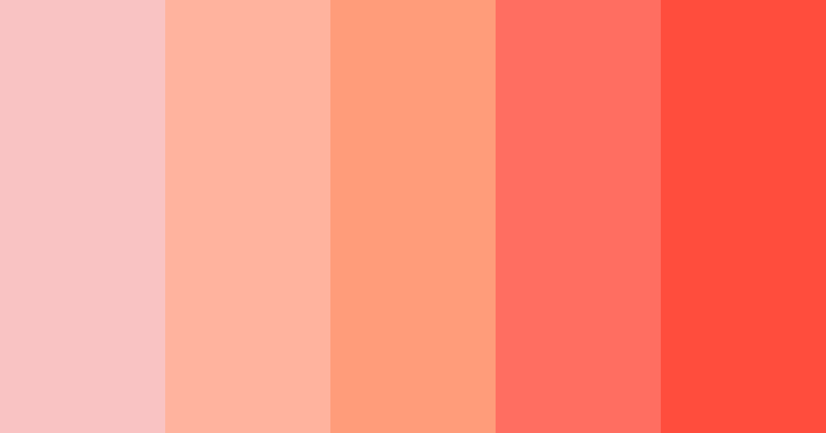 Download beautifully stupid cat color palette PNG image (landscape)