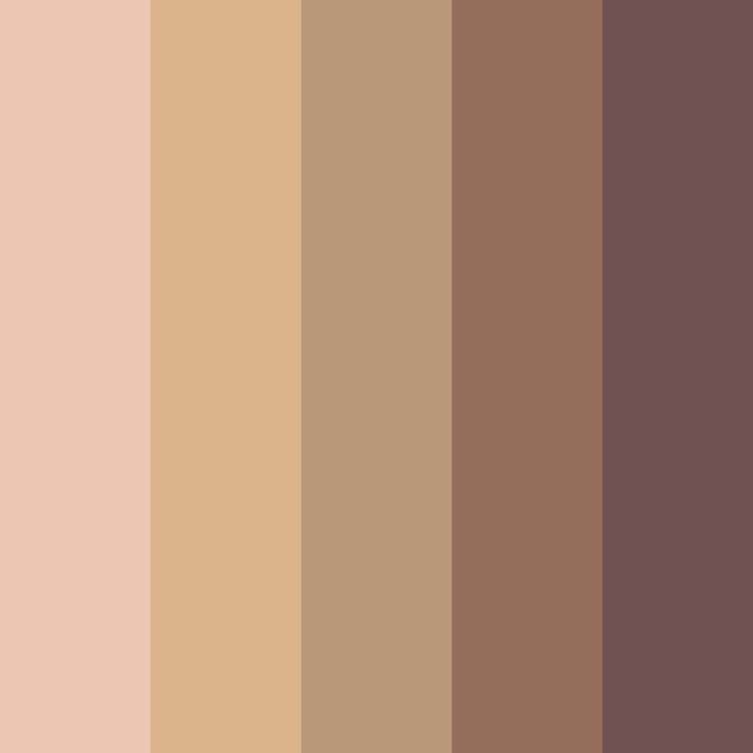Download calico cat color palette PNG image (square)