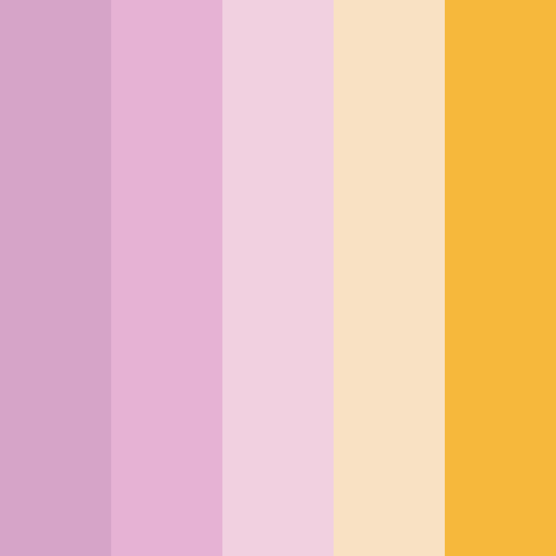Download munchkin cat color palette PNG image (square)