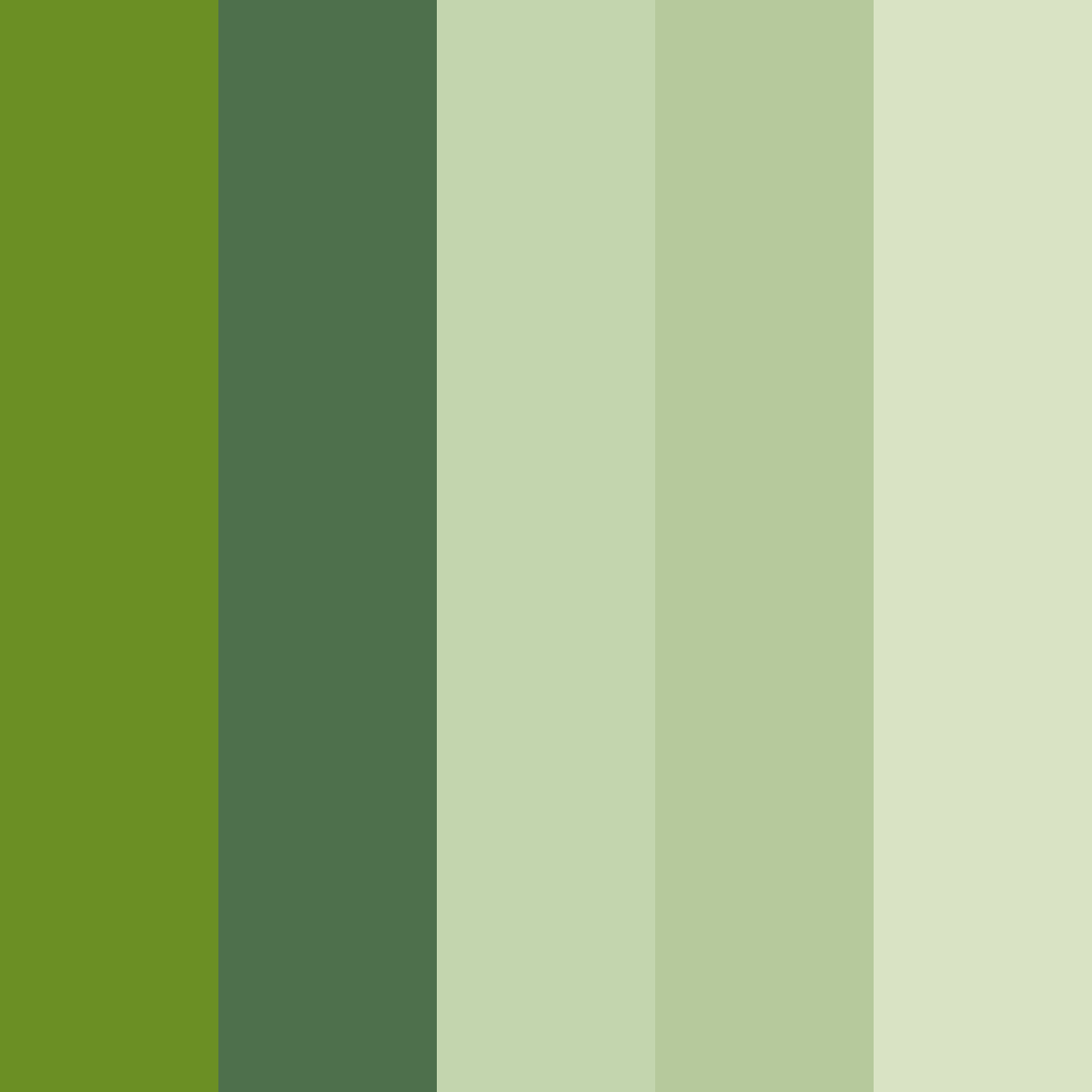 Download olive grove color palette PNG image (square)