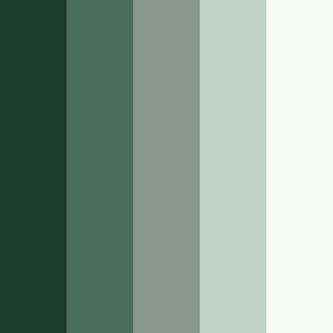 Download dark forest color palette PNG image (square)