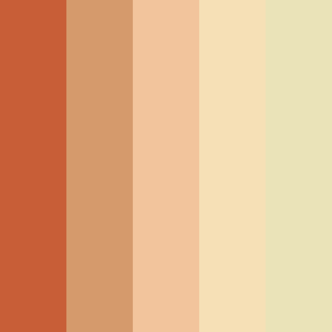 Download fox color palette PNG image (square)