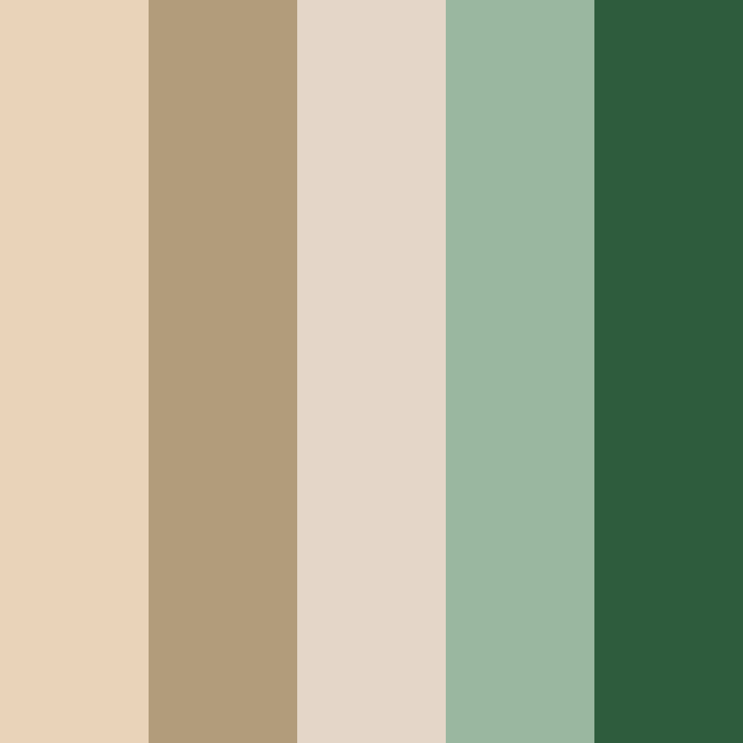 Download neutral forest color palette PNG image (square)