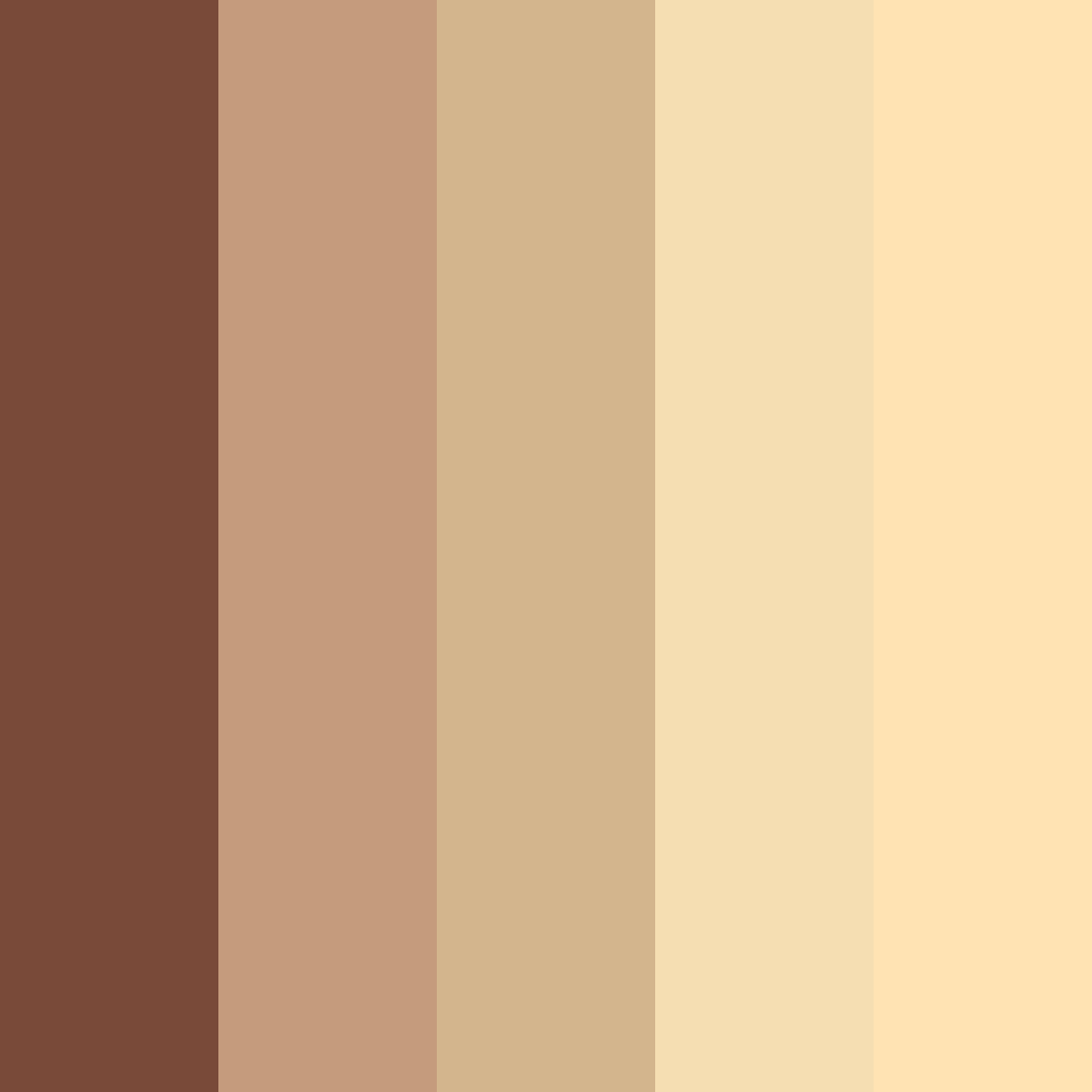 Download cozy brown cinnamon color palette PNG image (square)