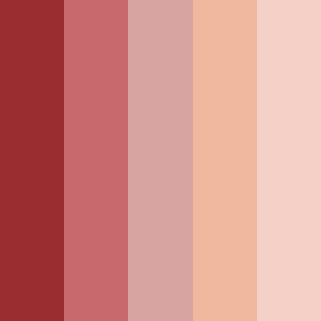 Download coral autumn color palette PNG image (square)