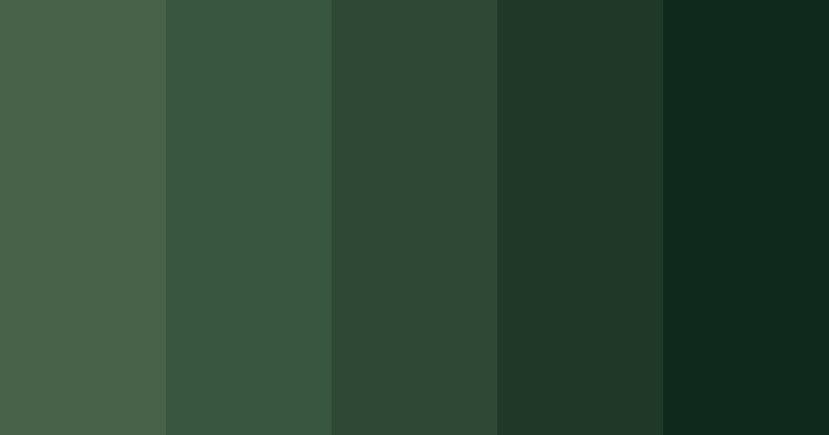 Download deep green forest color palette PNG image (landscape)