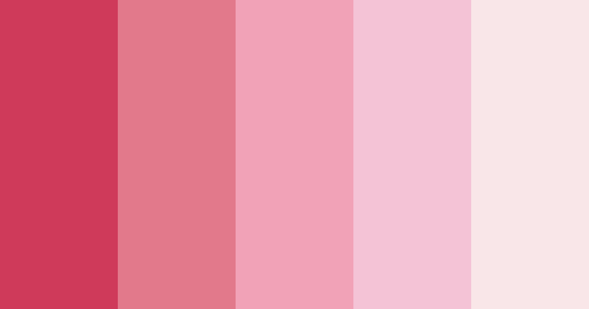 Download hippie pink shades color palette PNG image (landscape)