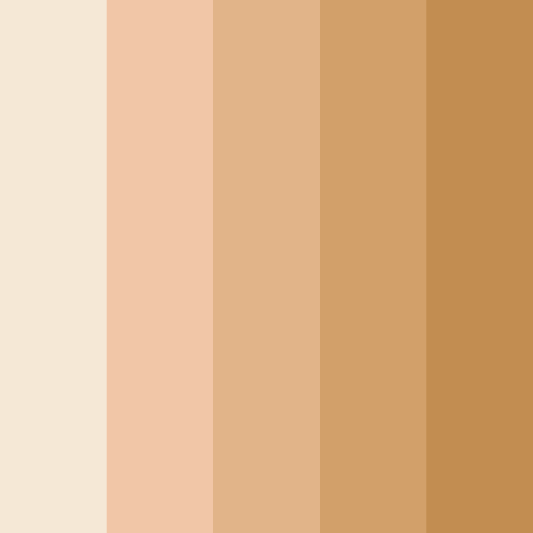 Download light orange color palette PNG image (square)