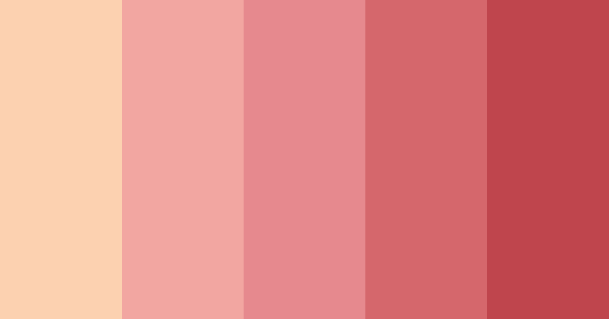 Download skin tones color palette PNG image (landscape)