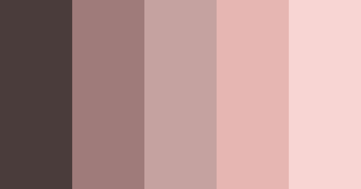 Download muted rose color palette PNG image (landscape)