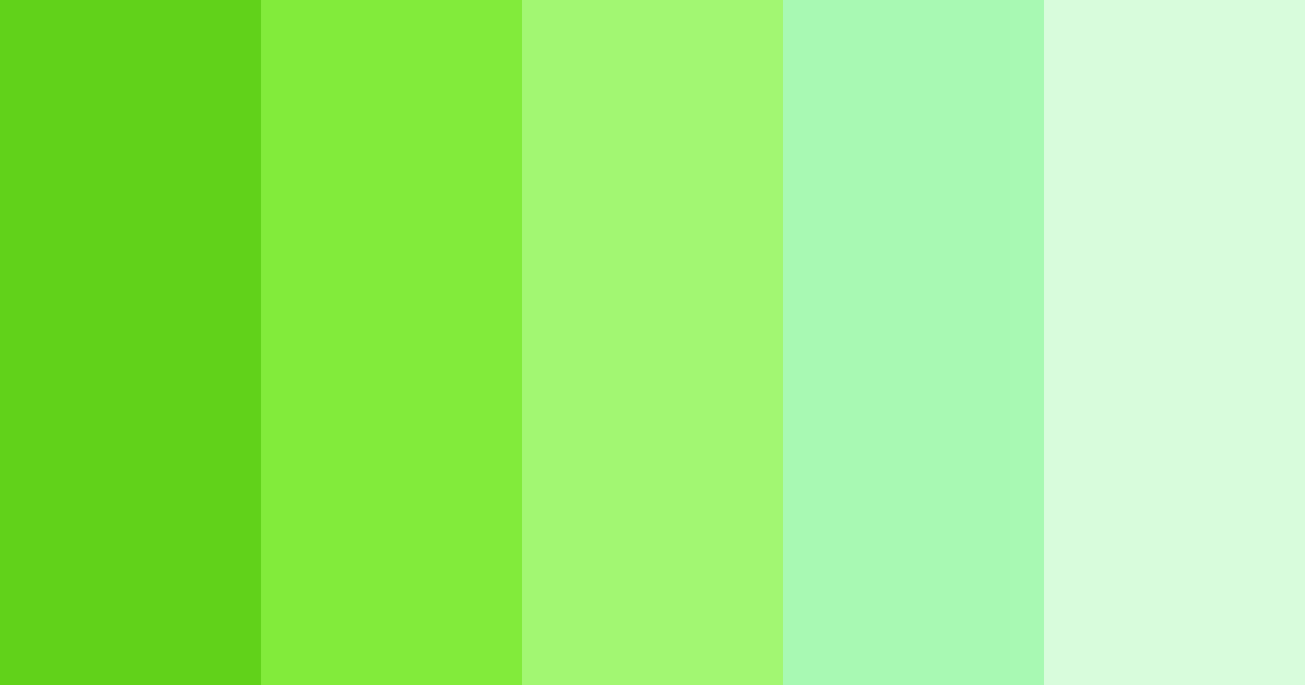 Emerald Canopy Color Palette