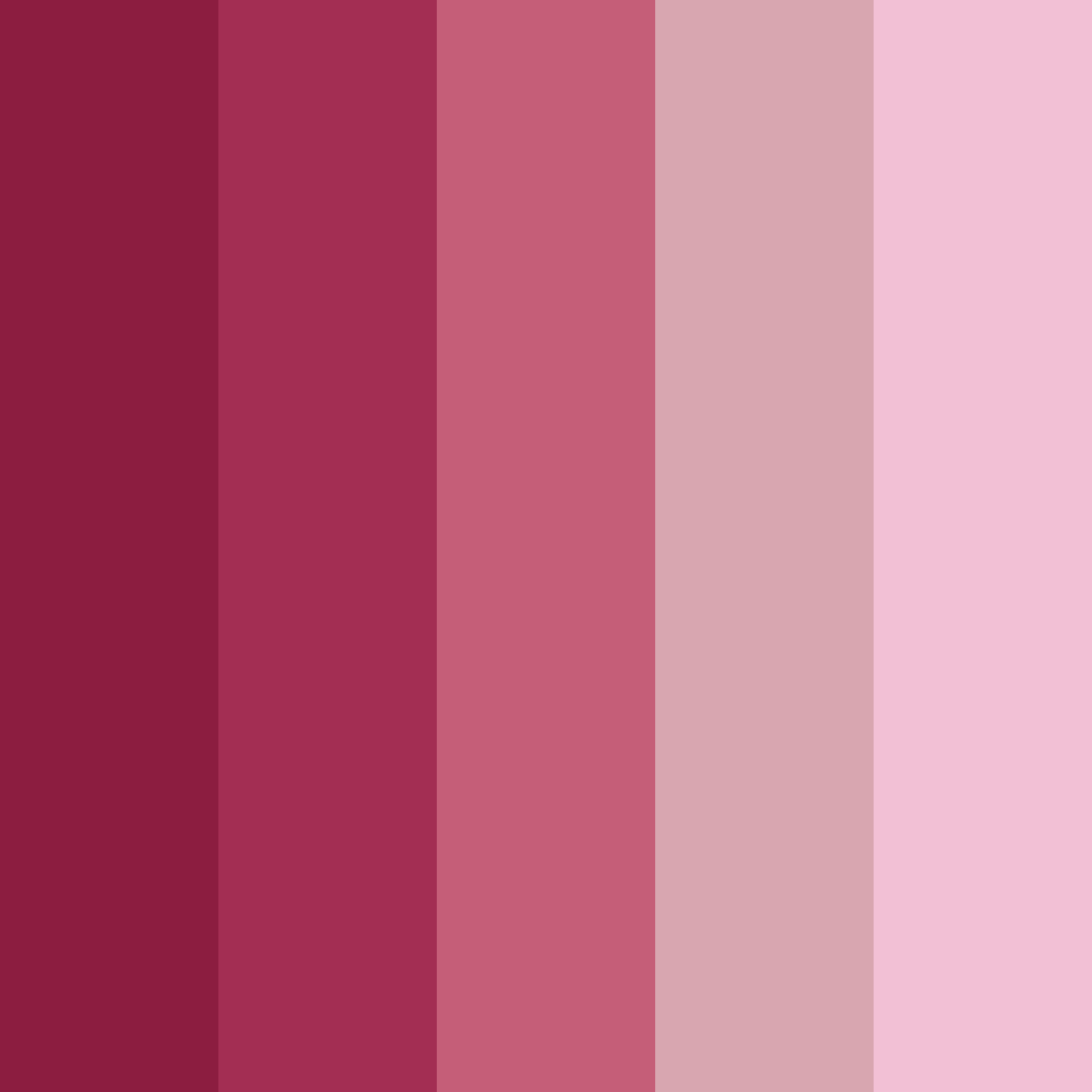 Download raspberry reverie color palette PNG image (square)