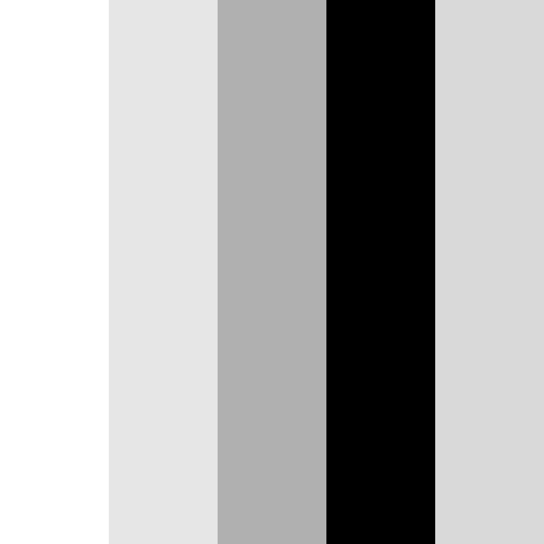 Gentle Panda Dream Color Palette