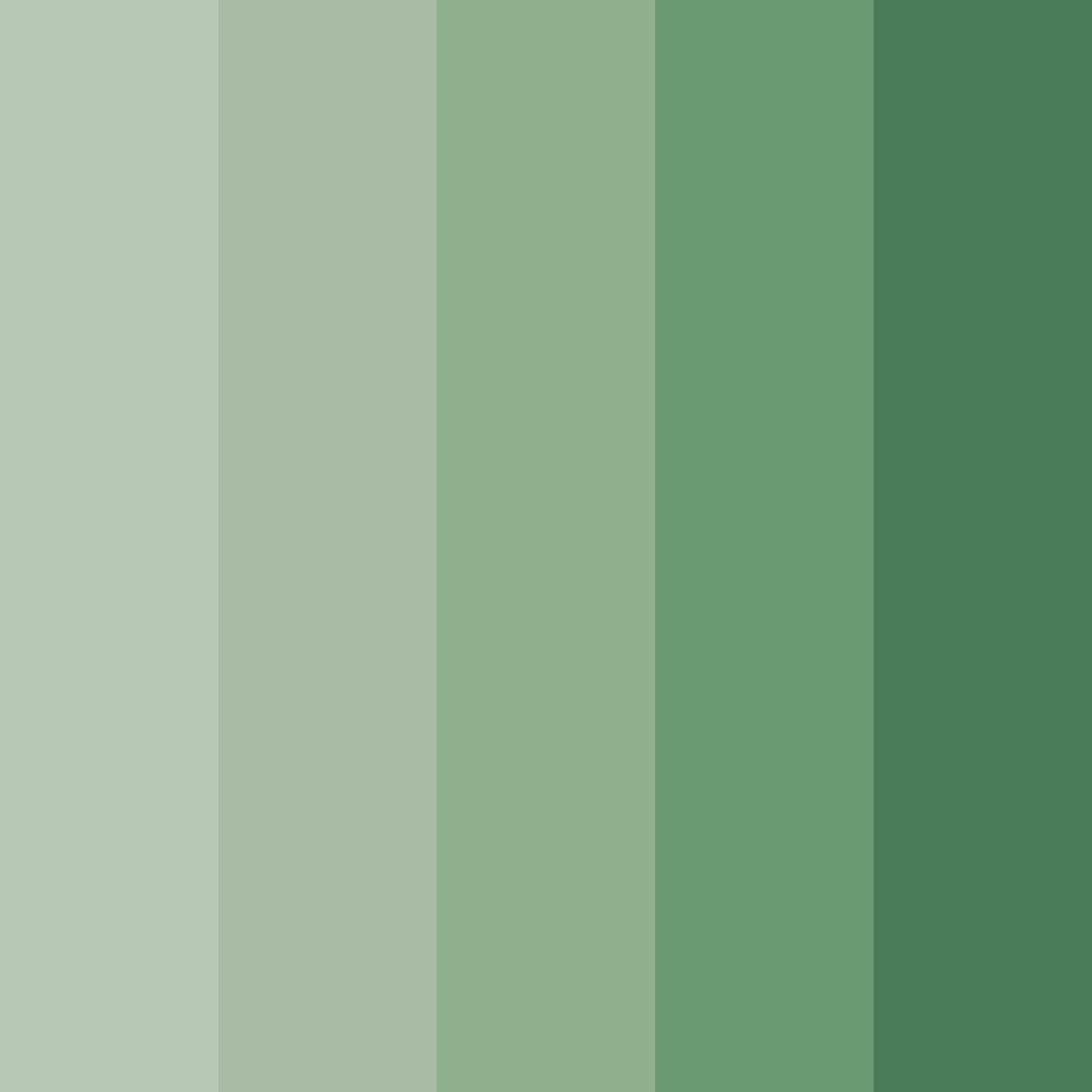 Download sage green color palette PNG image (square)