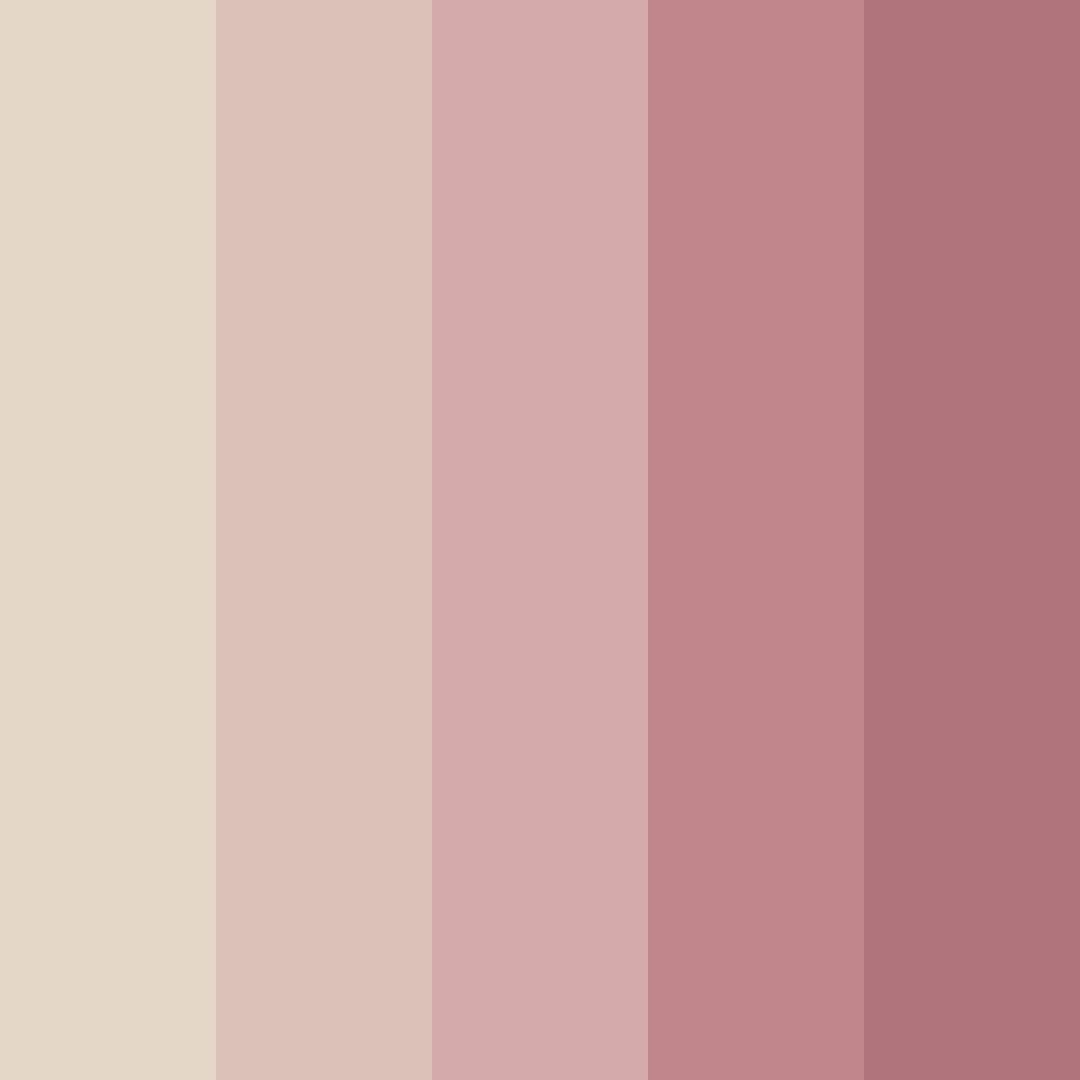 Download soft blush color palette PNG image (square)