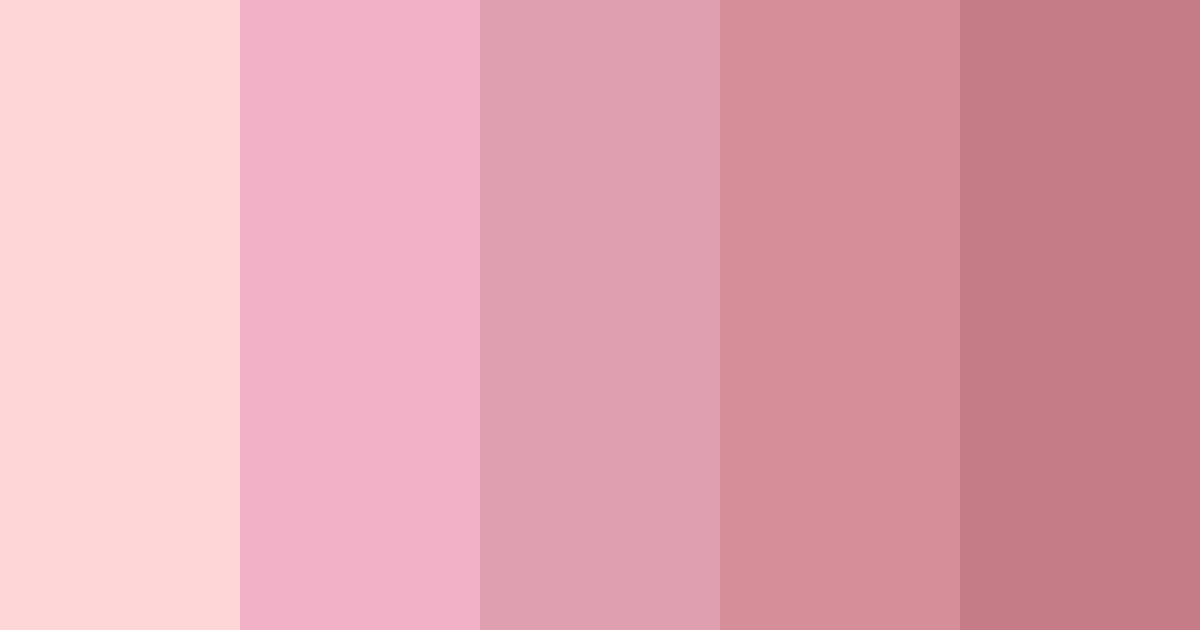 Download pink cosmos color palette PNG image (landscape)