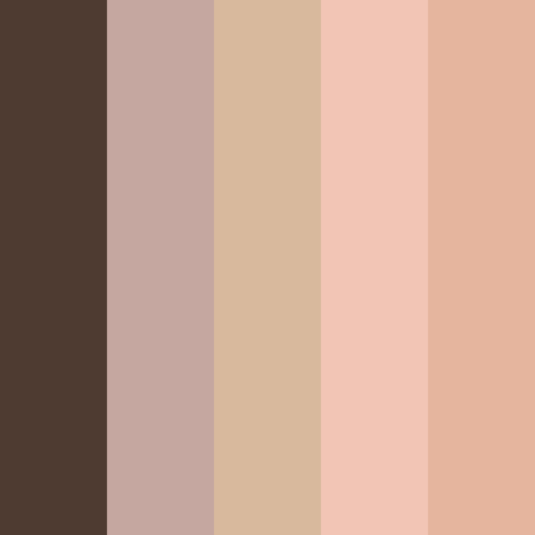 Download brown coffee color palette PNG image (square)