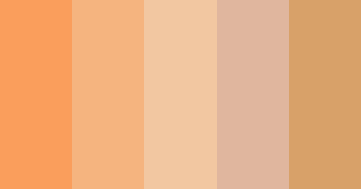 Download tan hide color palette PNG image (landscape)