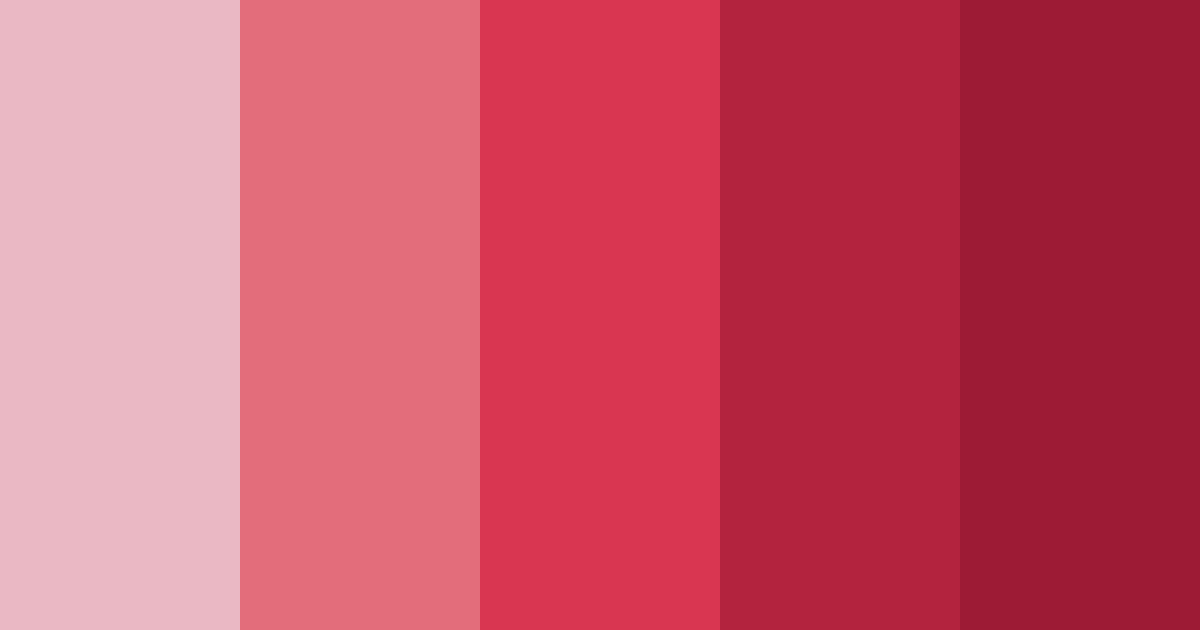 Paleta de colores Shades of Cardinal
