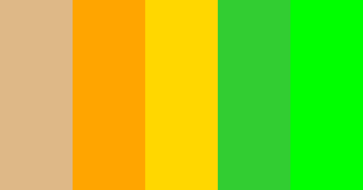 Download boho sole tramonto verde arcobaleno primavera viola verde acqua nero color palette PNG image (landscape)